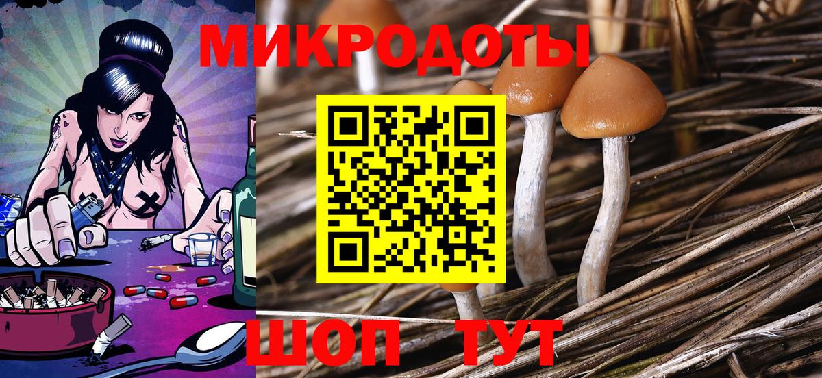 Псилоцибиновые грибы мухоморы  Вход с VPN  Галлюциногенные грибы Psilocybe  Зеленодольск 