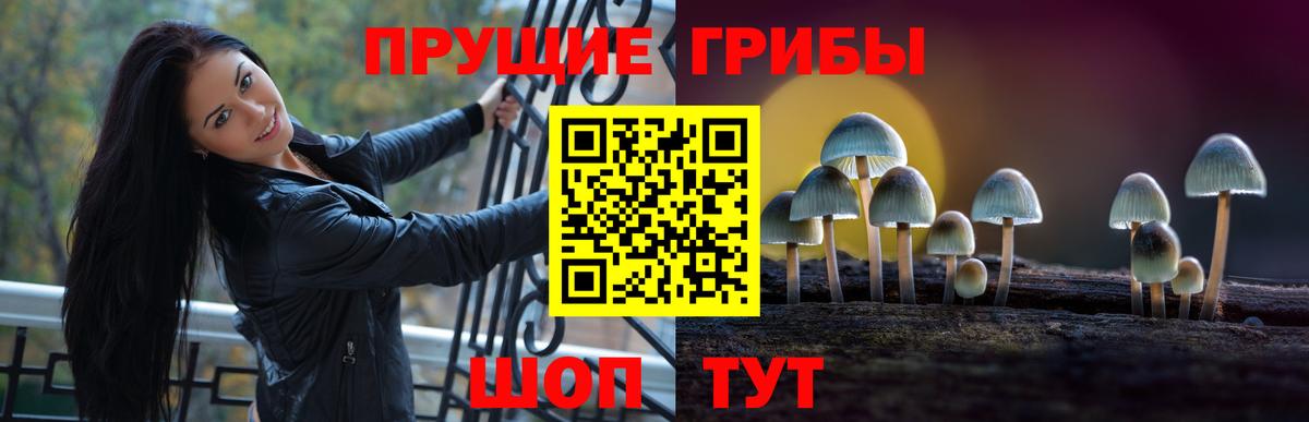 Псилоцибиновые грибы Psilocybine cubensis Зеленодольск
